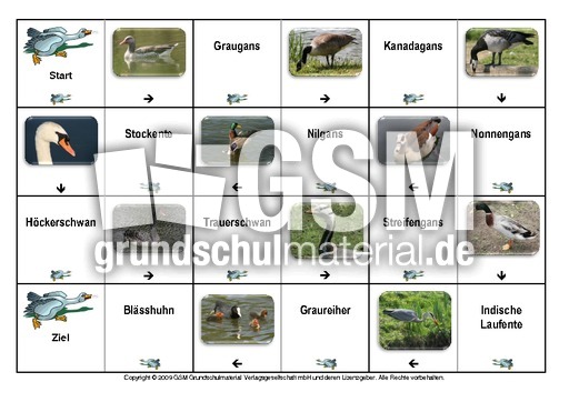 Domino-Wasservögel-1.pdf